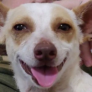 Meet your Posher, Connor